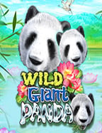 เว็บ พนัน โอน วอ ล เล็ ต กับสูตรเด็ดในการเล่นสล็อต